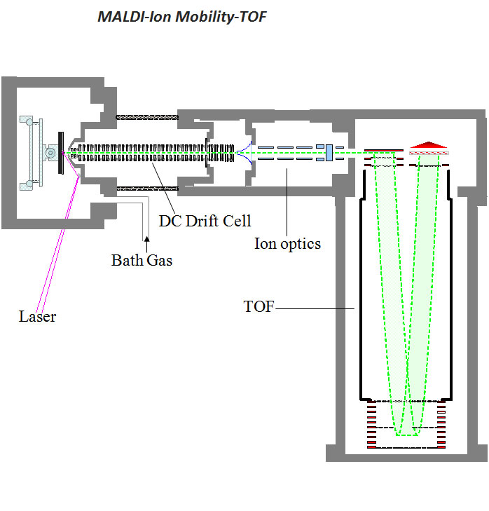 ION MOBILITY TOF